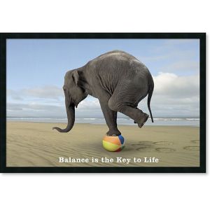 balance is the key to life