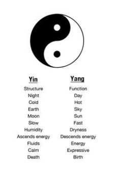 meaning yin&yang